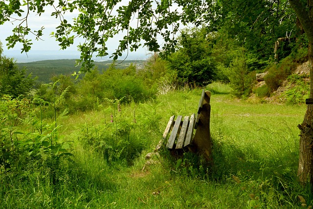 而是时刻利 而是时刻利