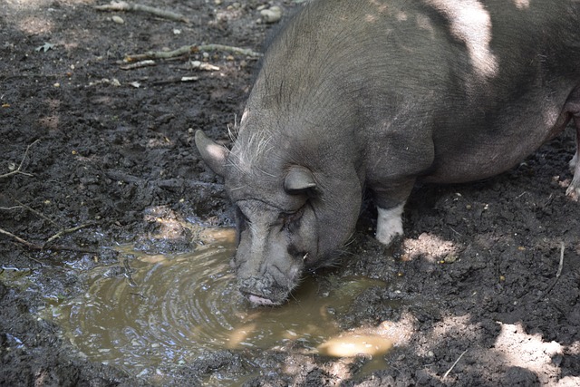 文化传媒行 文化传媒行
