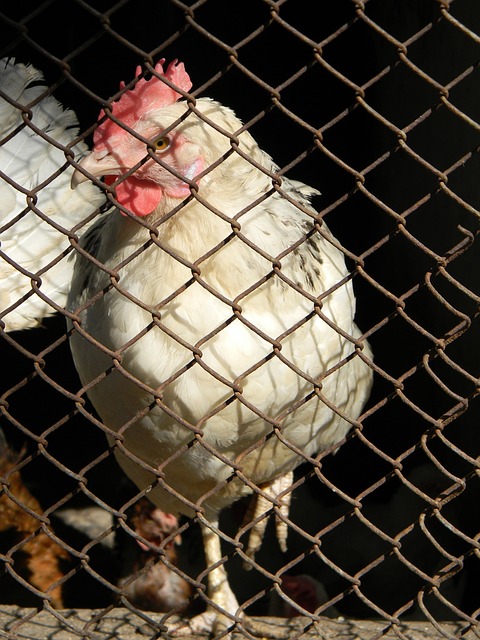 A赛场上的 A赛场上的