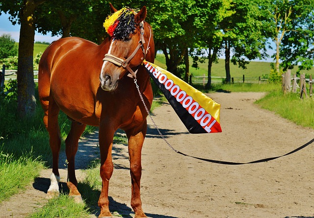 马的防线 马的防线