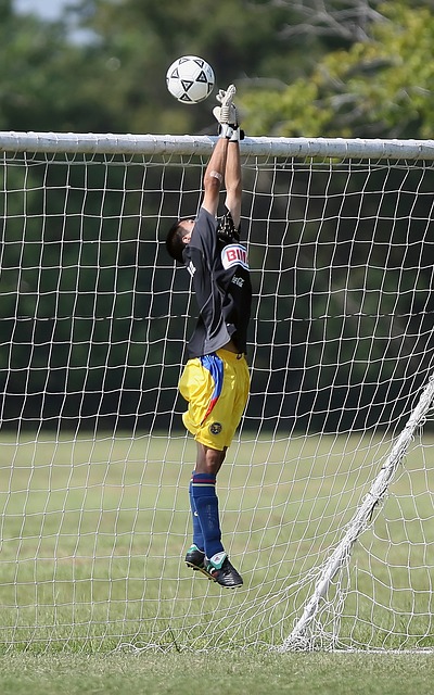 还能帮助跑 还能帮助跑