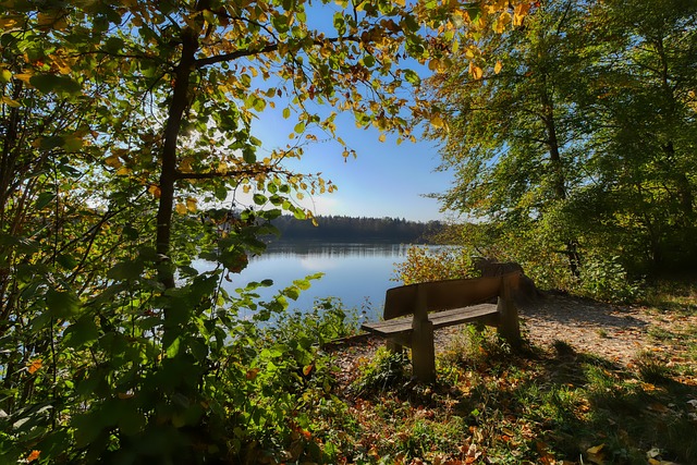 ATP鬼才布勃利克.